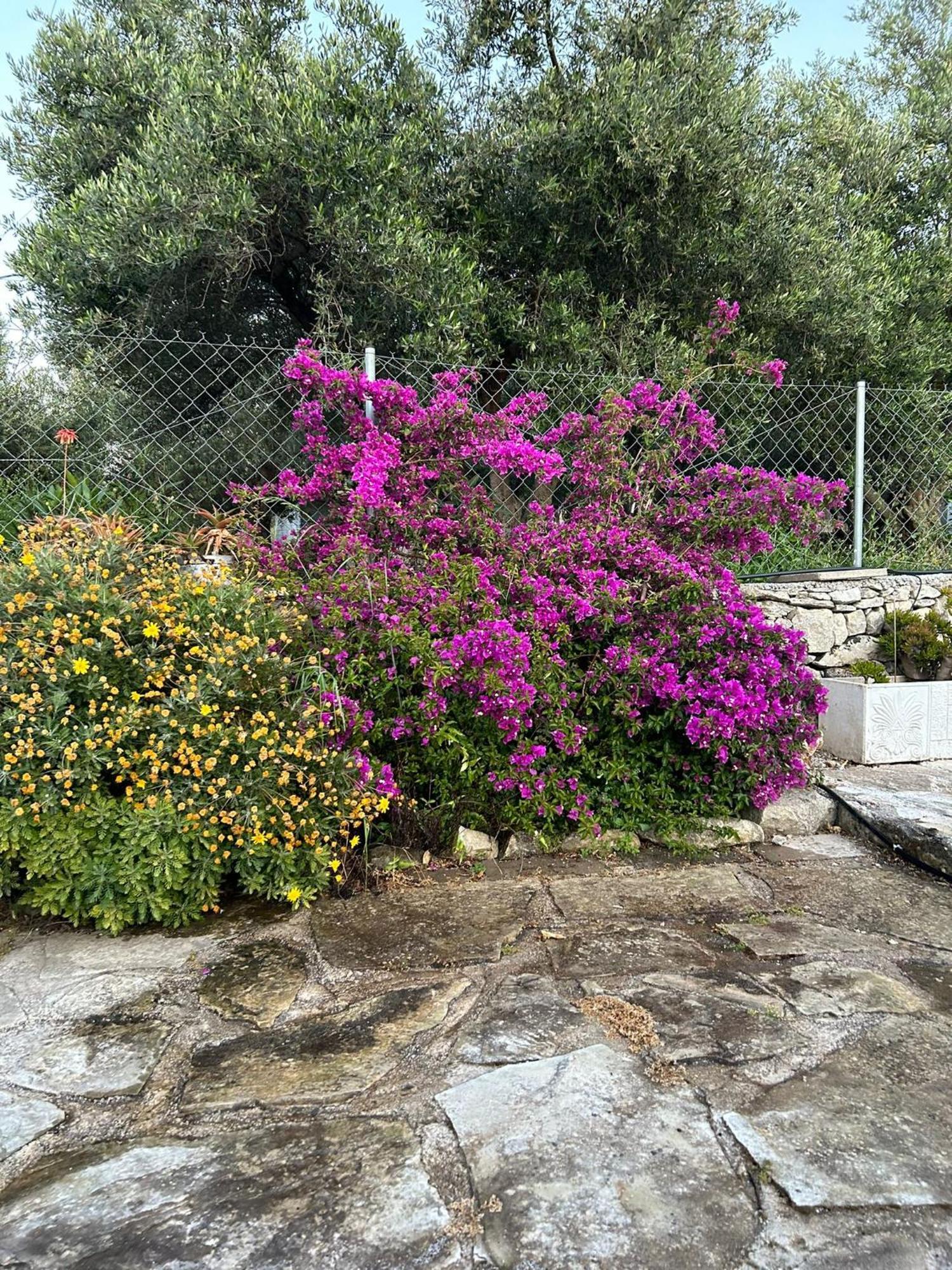 Old Stone Villa In Apokoronas Villa Nostalgia Kreta Fílippos Exteriér fotografie